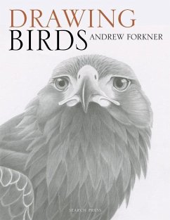 Drawing Birds - Forkner, Andrew
