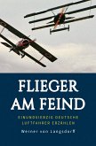 Flieger am Feind (eBook, ePUB)