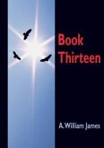 Book Thirteen (eBook, ePUB)