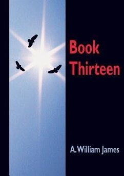 Book Thirteen (eBook, ePUB) Cover Book Thirteen (eBook, ePUB)