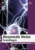 Neuronale Netze - Grundlagen (eBook, ePUB)