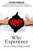 WHY Experience (eBook, ePUB)