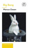 Big Bang: A Ladybird Expert Book (eBook, ePUB)