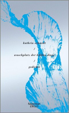 waschplatz der kühlen dinge (eBook, ePUB) - Schmidt, Kathrin