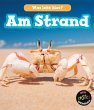 Am Strand, Was lebt hier? - Bild 1