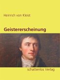 Geistererscheinung (eBook, ePUB)