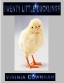 Twenty Little Ducklings (eBook, ePUB)