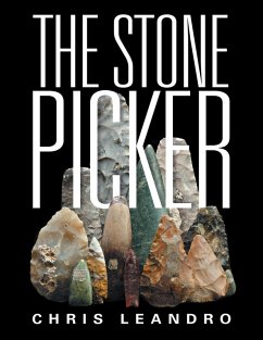 Cover The Stone Picker (eBook, ePUB)