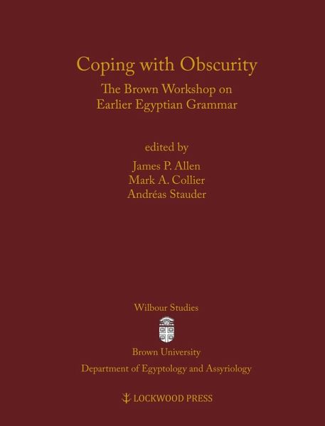 Coping with Obscurity (eBook, PDF)