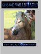 Horse Word Power Sleuth Puzzler (eBook,... - Bild 1