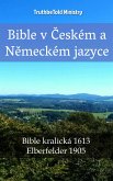 Bible v Českém a Německém jazyce (eBook, ePUB)