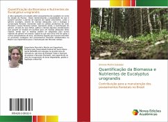 Quantificação da Biomassa e Nutrientes de Eucalyptus urograndis - Martini Salvador, Simone