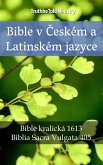 Bible v Českém a Latinském jazyce (eBook, ePUB)