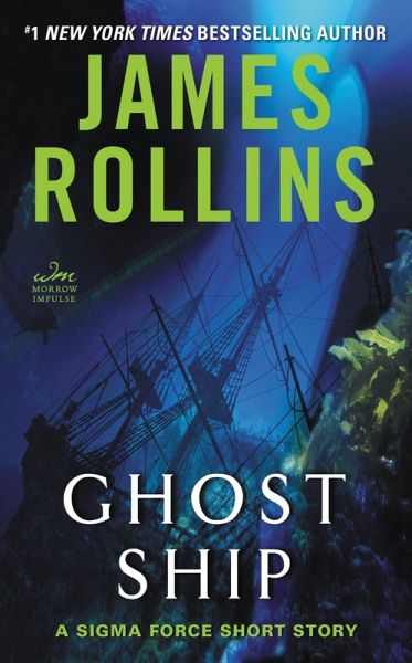 Ghost Ship (eBook, ePUB)