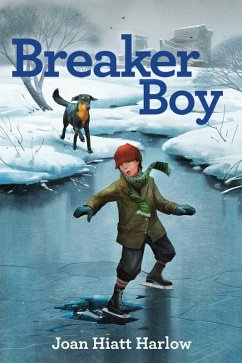 Breaker Boy (eBook, ePUB) - Harlow, Joan Hiatt