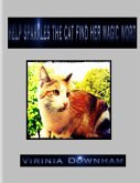 Help Sparkles the Cat Find Her Magic Word (eBook, ePUB)