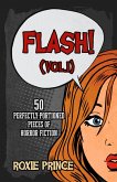 FLASH! (Vol. I) (eBook, ePUB)
