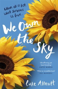 Cover We Own The Sky
