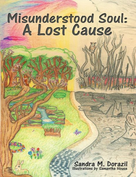 Misunderstood Soul: A Lost Cause (eBook, ePUB)