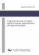 A high-order discontinuous Galerkin... - Bild 1
