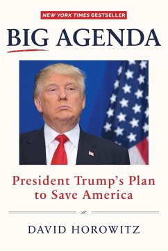 Cover Big Agenda (eBook, ePUB)