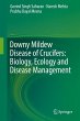 Downy Mildew Disease of Crucifers:... - Bild 1