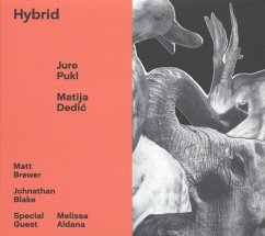 Hybrid - Pukl,Jure/Dedic,Matija