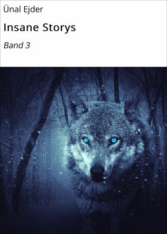 Insane Storys (eBook, ePUB) - Ejder, Ünal