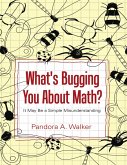 What's Bugging You About Math? (eBook, ePUB)