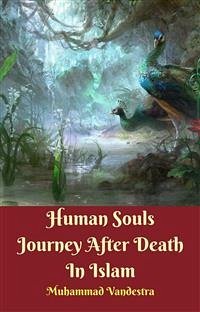 Human Souls Journey After Death In Islam (eBook, ePUB) - Muhammad Vandestra