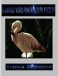 Flamingo Word Power Sleuth Puzzler... - Bild 1