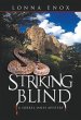 Striking Blind (eBook, ePUB) - Bild 1