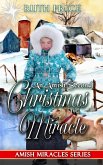 An Amish Second Christmas Miracle (Amish Miracles Series, #1) (eBook, ePUB)