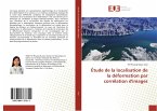 Étude de la localisation de la déformation par corrélation d'images