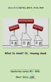 What Is Amok? Or, Housing Amok. (eBook, ePUB)