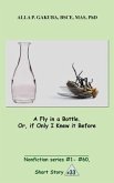 A Fly in a Bottle. Or, if Only I Knew it Before. (eBook, ePUB)