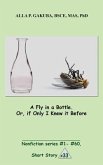A Fly in a Bottle. Or, if Only I Knew it Before. (eBook, ePUB) A Fly in a Bottle. Or, if Only I Knew it Before. (eBook, ePUB)