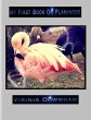 My First Book on Flamingos (eBook, ePUB) - Bild 1