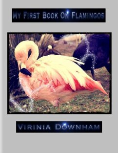 Cover My First Book on Flamingos (eBook, ePUB)