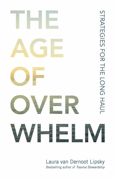 The Age of Overwhelm The Age of Overwhelm