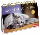 Katzenglück 2019 Katzenglück 2019