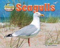 Seagulls - Lawrence, Ellen