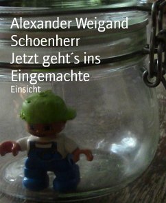 Jetzt geht´s ins Eingemachte (eBook, ePUB) - Weigand Schoenherr, Alexander