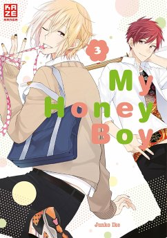 Cover My Honey Boy Bd.3