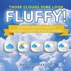 Those Clouds Sure Look Fluffy! Weather Books Grade 4   Children's Earth Sciences Books
