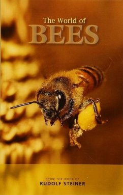The World of Bees - Steiner, Rudolf