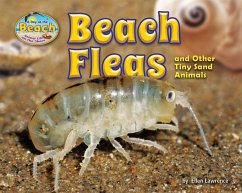 Beach Fleas and Other Tiny Sand Animals - Lawrence, Ellen