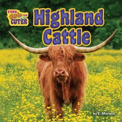 Highland Cattle - Merwin, E.