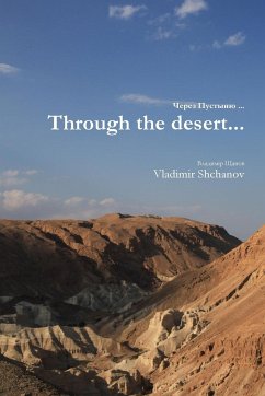 Through the desert... - Shchanov, Vladimir