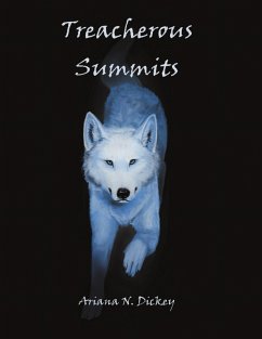 Cover Treacherous Summits (eBook, ePUB)